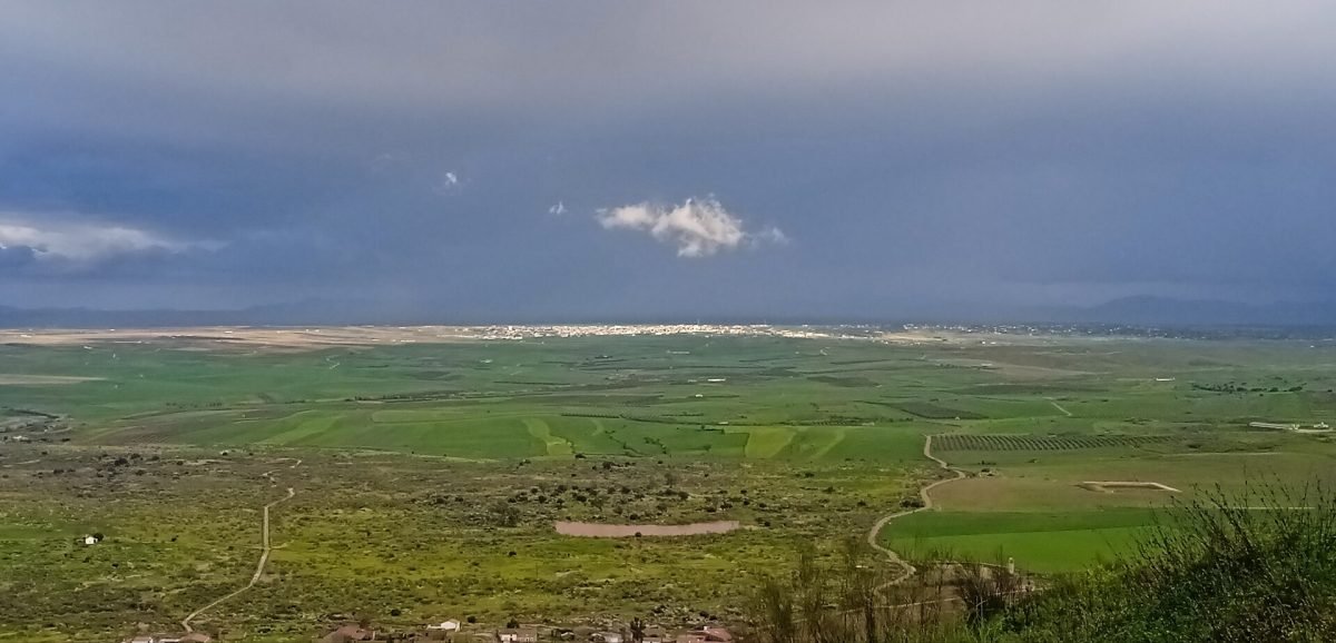 Campanario sur la ebenajxo La Serena