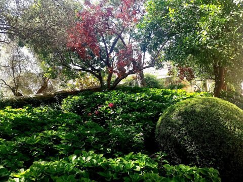 Badajoz - Jardines de La Galera